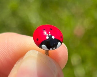 Pin de mariquita