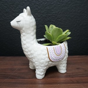 Cute Llama Ceramic Pot - White or Blue