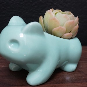 May include: A light blue ceramic planter shaped like a cartoon character with a succulent plant growing inside.