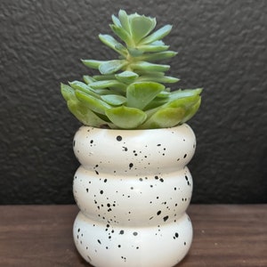 Cylinder Planter