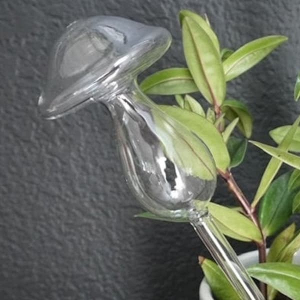 Glass Mushroom - Self Watering Bulb