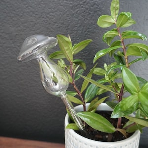 Glass Mushroom - Self Watering Bulb