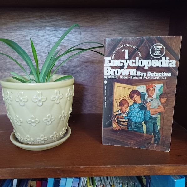 Encyclopedia Brown - Etsy