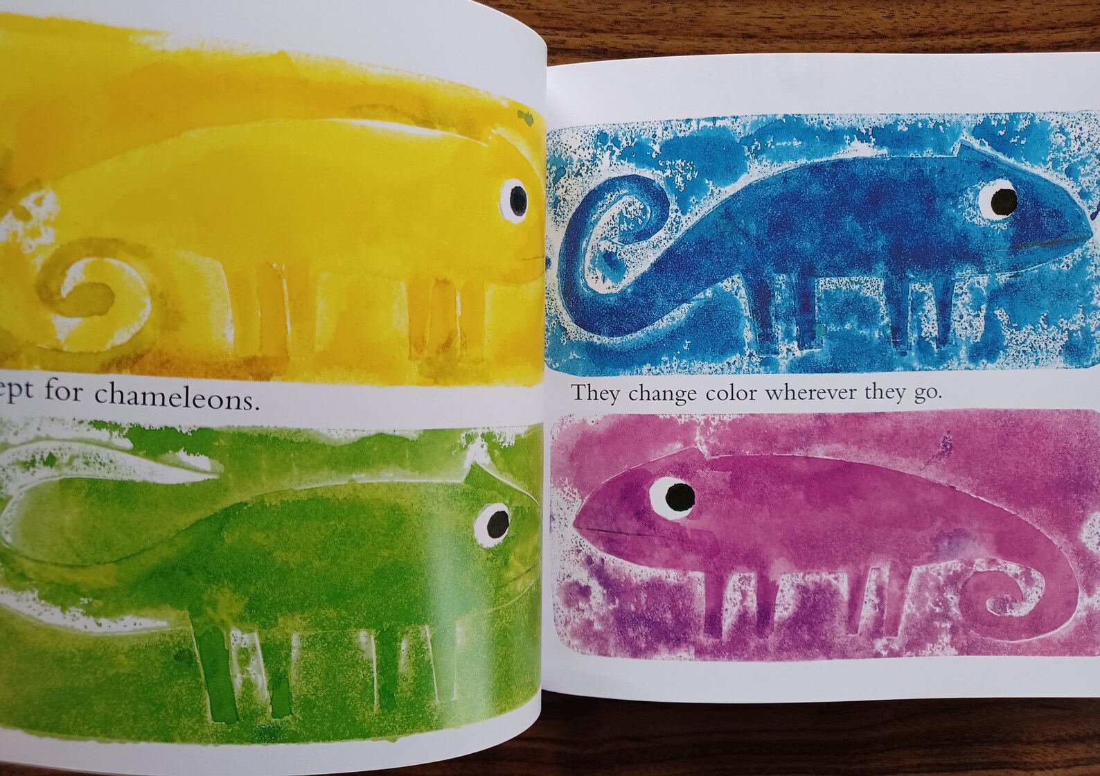 A Color of His Own, by Leo Lionni - Etsy