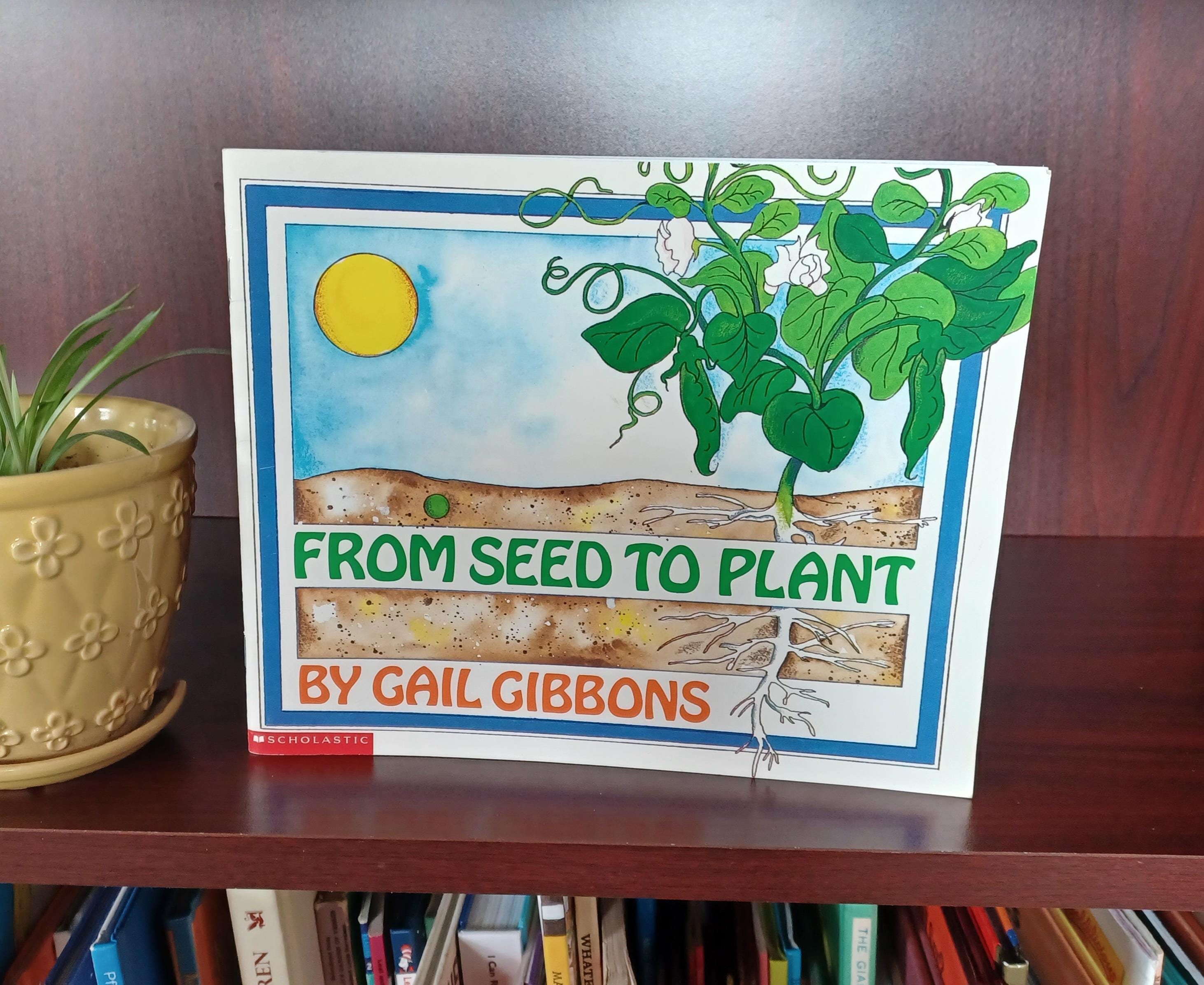 Picture About Plants - Etsy