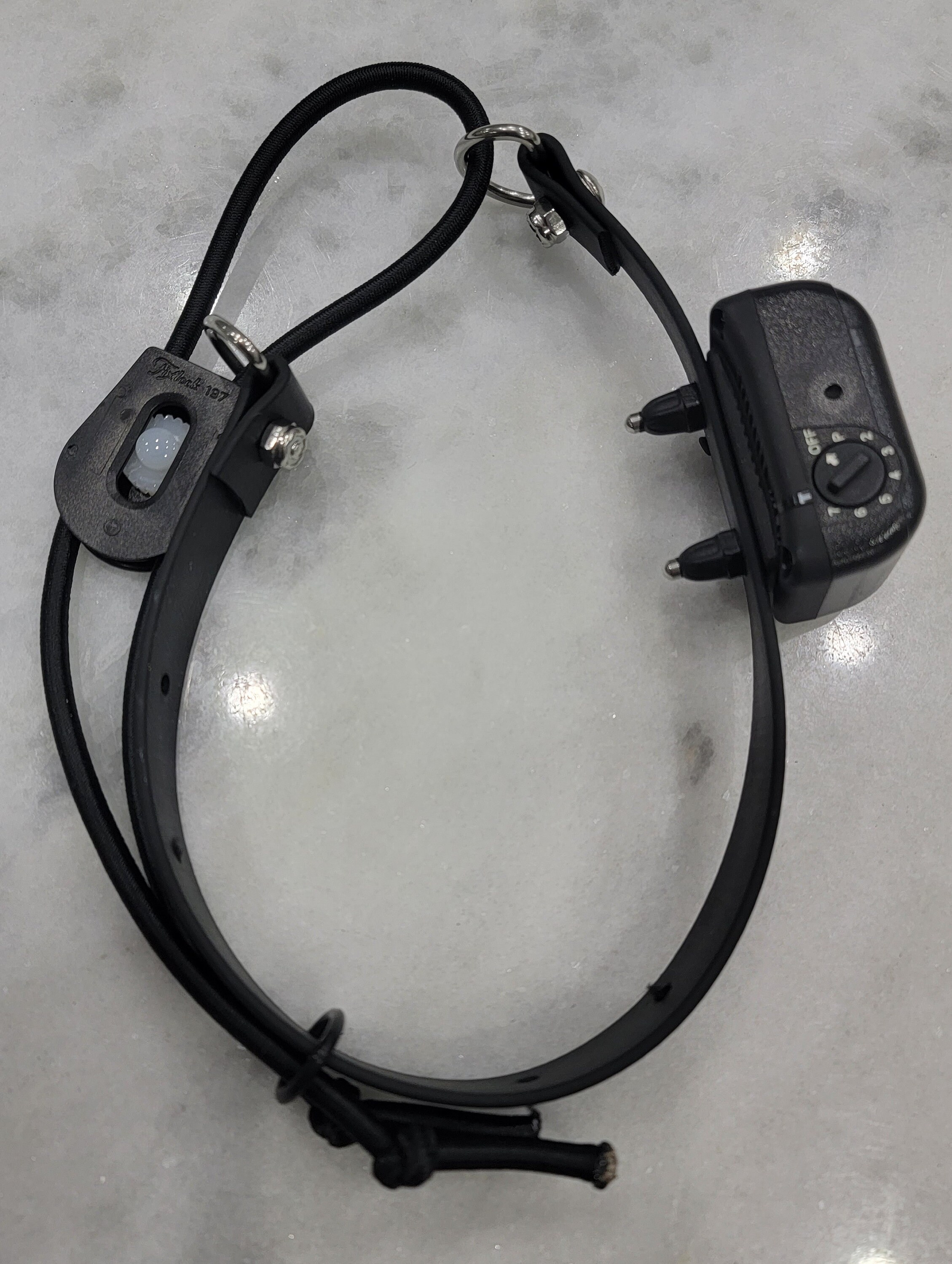 Biothane Camera Strap Biothane E-collar Strap: Quick On/off, Bungee, Stainless Steel - Etsy