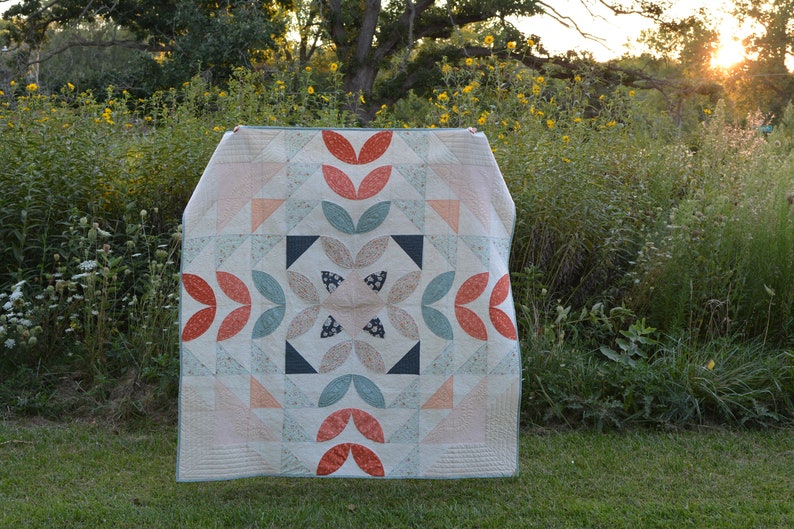 Art Gallery Fabric Quilt Kit Laser Precut Gayle Loraine