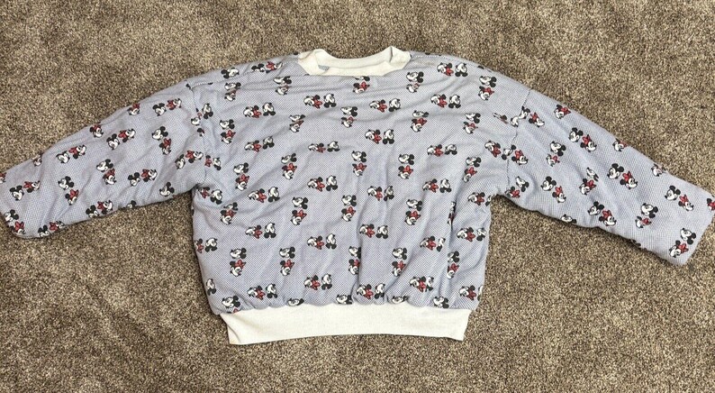 Mickey & Minnie Mouse Reversible Padded Sweatshirt Blue White Check Big Heads image 5