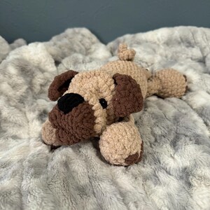 Pug puppy