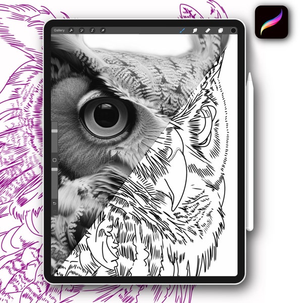 12x Procreate owl bird tattoo stamps brush set for tattoo designs coloring pages and stencil for tattoo artists instant digital download