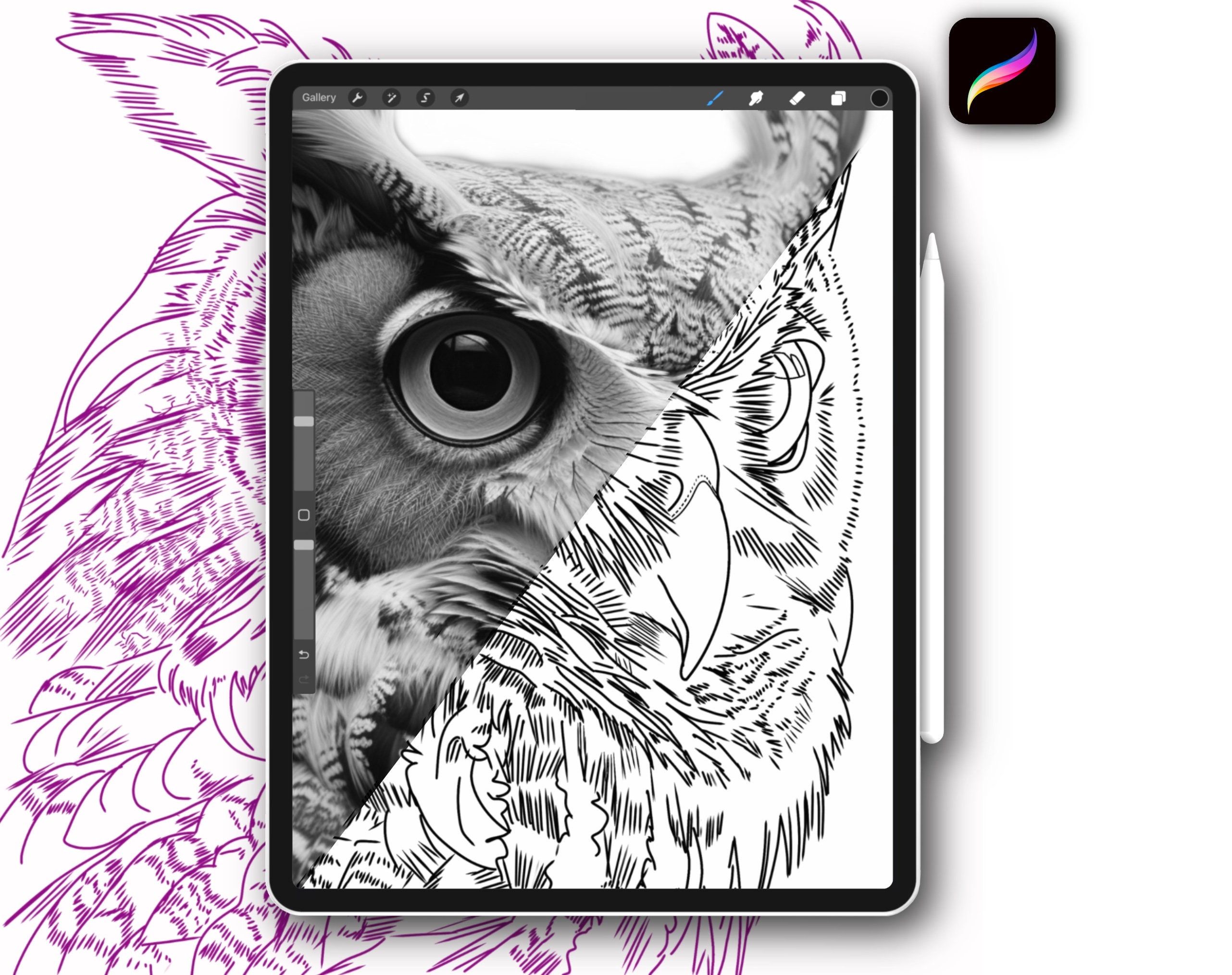 12x Procreate owl bird tattoo stamps brush set for tattoo designs coloring pages and stencil for tat