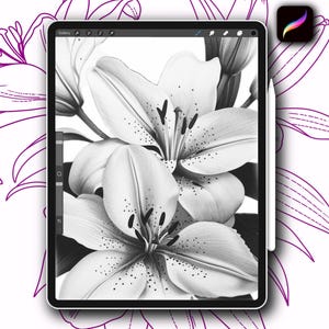 10x Procreate Lilly flower tattoo stamps brushes set for designer coloring pages with references hand drawn stencil instant digital download