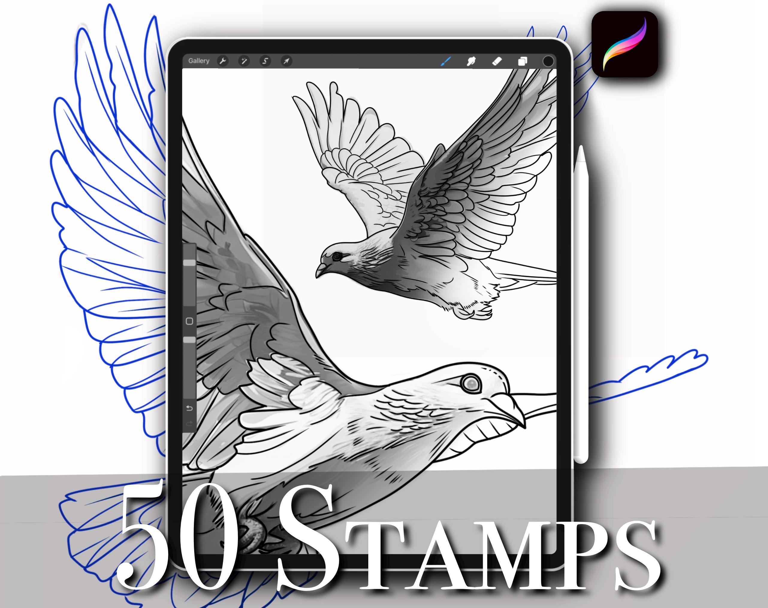 50 Procreate Dove Bird Tattoo Stamp Brushes Set — Stencils & Outlines for Tattoo Artists