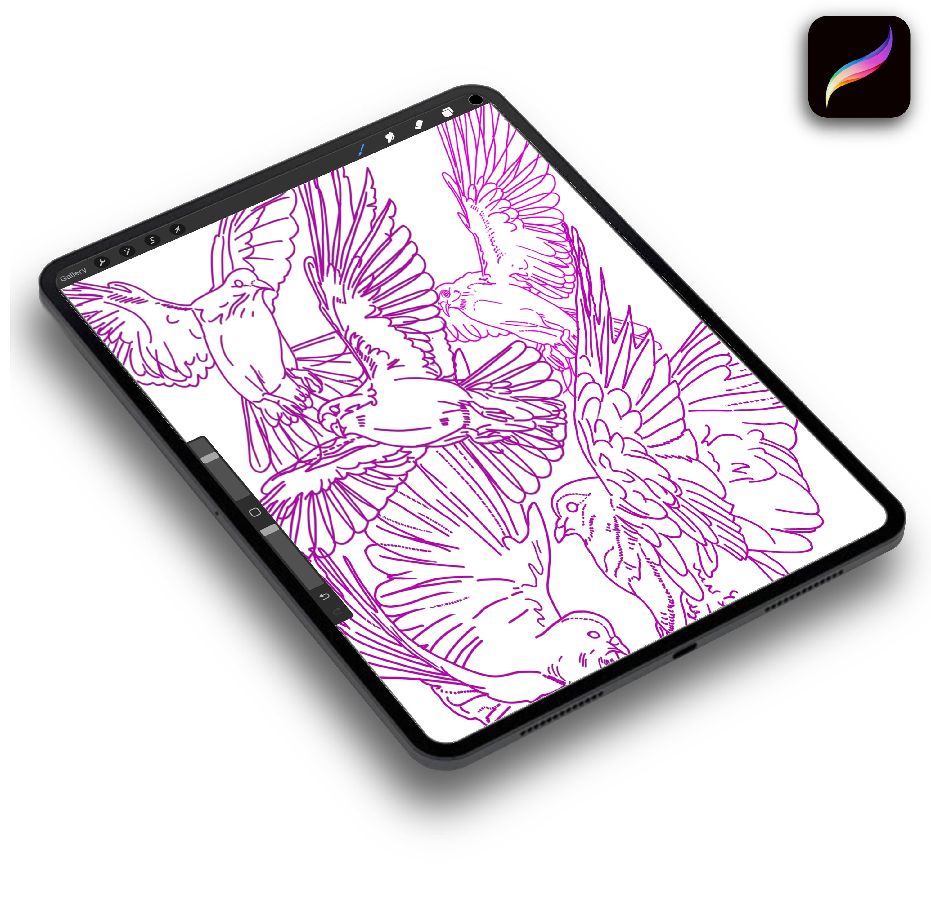 Thumbnail 6