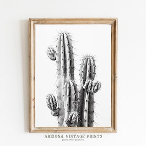 PRINTABLE Saguaro Cactus Pencil Sketch Dessin minimaliste | Crayon noir et blanc sur papier | Art mural | Téléchargement numérique - SW072