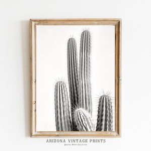 PRINTABLE Saguaro Cactus Pencil Sketch Dessin minimaliste | Crayon noir et blanc sur papier | Art mural | Téléchargement numérique - SW071