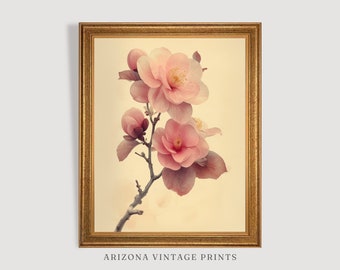 PRINTABLE - Cherry Blossom Botanical Print | Antique Watercolor Painting | Vintage Floral Art | Digital Download - FL028