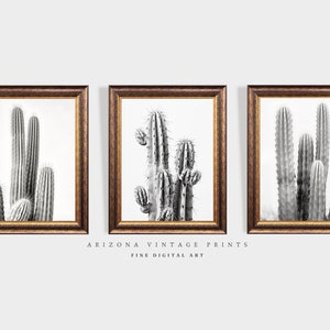 PRINTABLE Ensemble de trois dessins minimalistes de croquis au crayon Saguaro Cactus | Crayon sur Papier | Art mural | Téléchargement numérique - SWS07