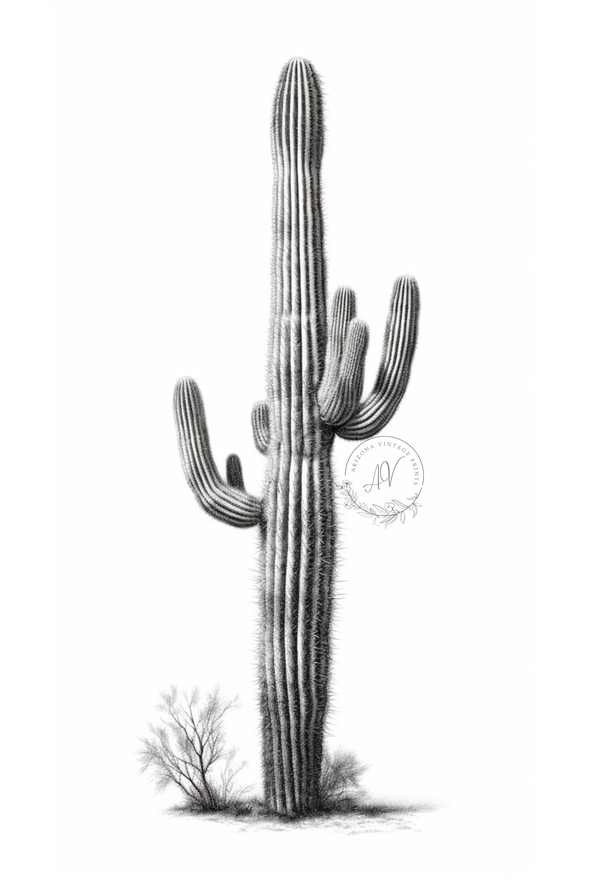 Saguaro Cactus Charcoal Sketch Print: Minimalist Black and White (digital  Download) - Etsy