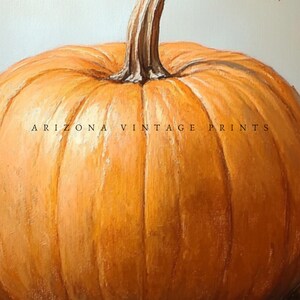 May include: A close-up of a large, orange pumpkin with a long, brown stem. The pumpkin is sitting on a wooden surface. The text "ARIZONA VINTAGE PRINTS" is visible on the pumpkin.