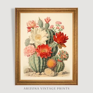 Peinture imprimable fleurs de cactus | Style d'illustration botanique | Art du sud-ouest | Téléchargement numérique - SW004