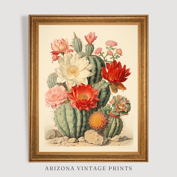 PRINTABLE Cactus Flowers Bloom Painting | Botanical Illustration Style | Southwest Art | Digital Download - SW004