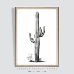 PRINTABLE Saguaro Cactus Charcoal Sketch Minimalist Drawing | Black and White Charcoal on Paper | Digital Download - SW013