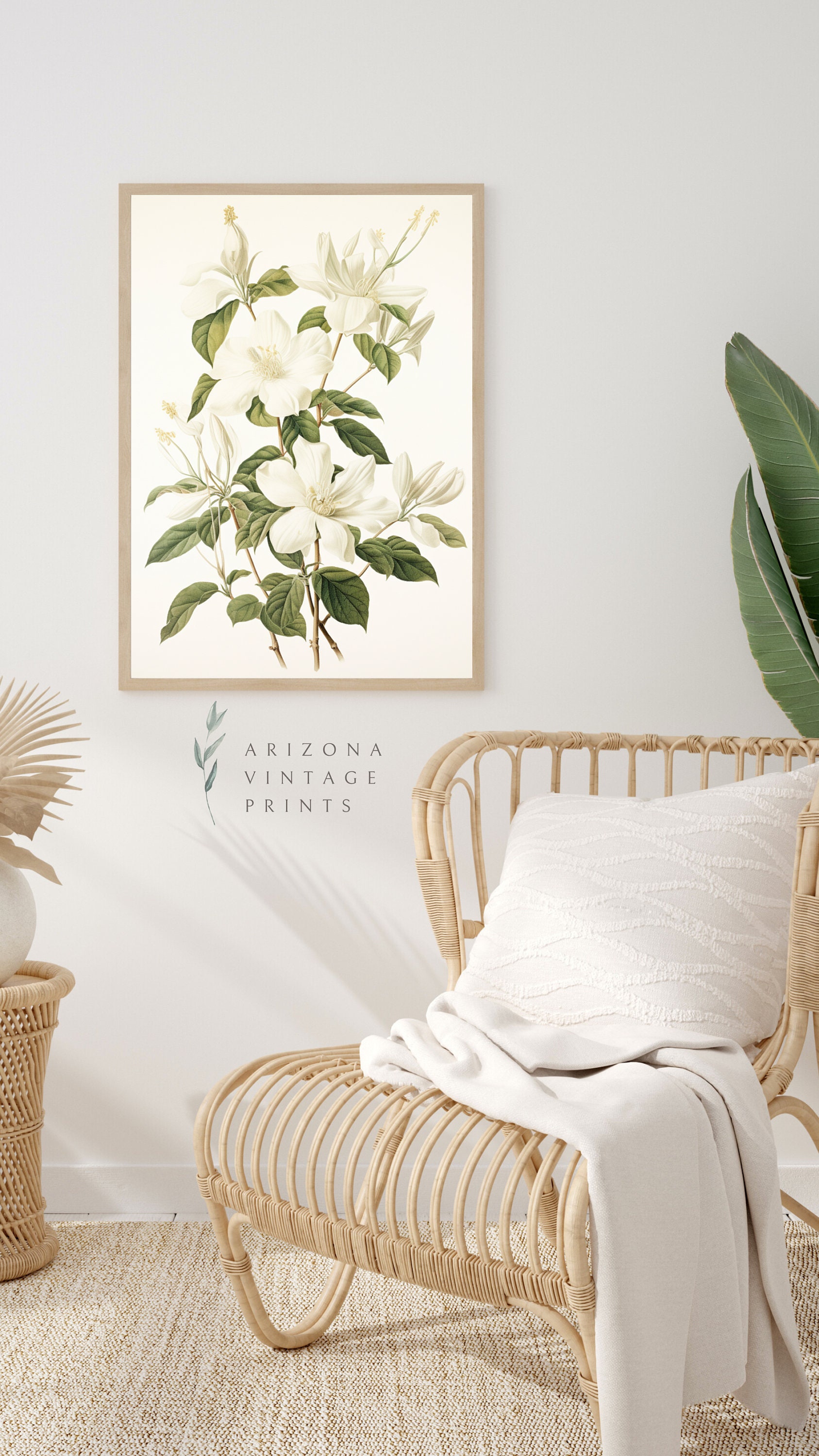 White Jasmine Flower Print: Vintage Watercolor Botanical Art (digital ...