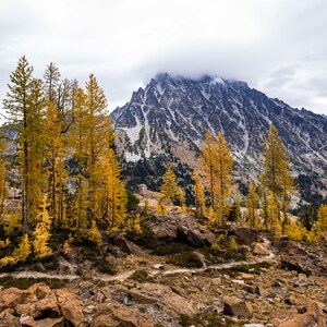 Photography wall art printable--digital download