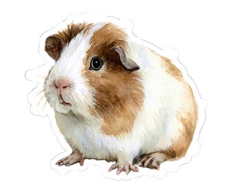 Sticker cochon d'Inde, sticker animal mignon, parfait pour ordinateur portable, bouteille d'eau, scrapbooking, cadeaux pour les amateurs de cochons d'Inde, adorable décoration animalière