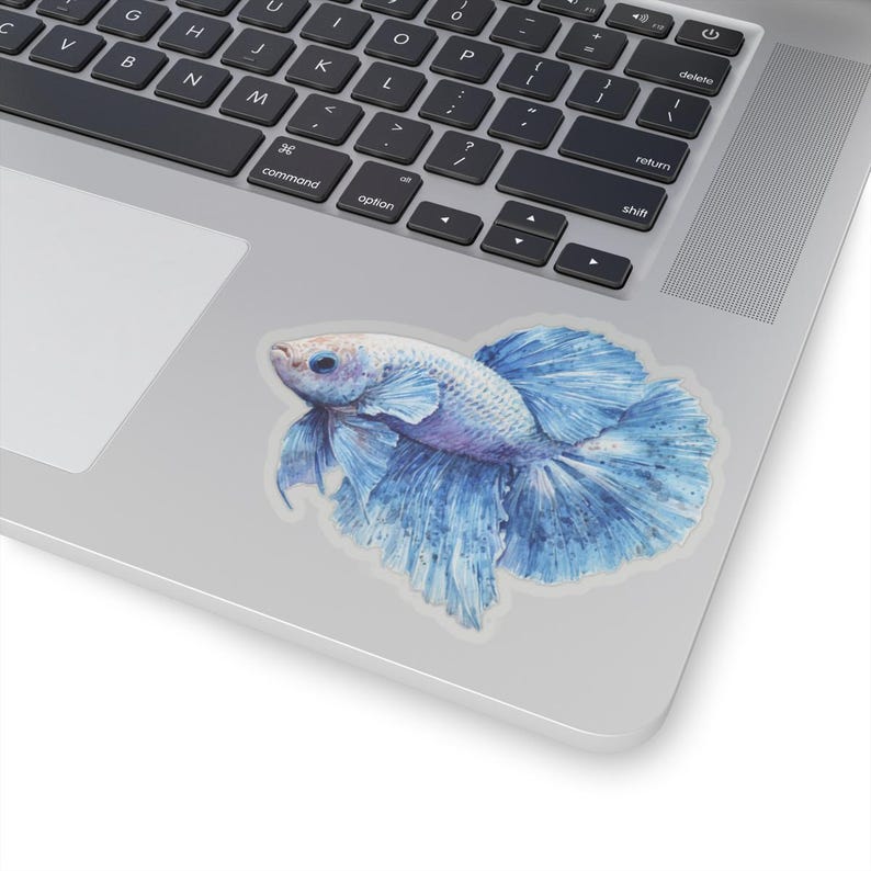 Betta Fish Sticker, Cute Fish Decor, Laptop Stickers, Watercolor Art ...