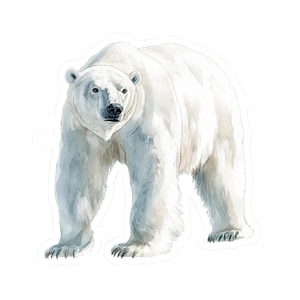 Sticker ijsbeer, leuke sticker, Artic stickers, geschenken natuurliefhebber, dieren laptop sticker, sticker waterfles, sticker autotuimelaar, sticker auto