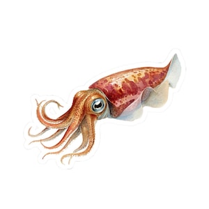 Squid Sticker, Ocean-Inspired Vinyl Decal for Laptops & Journals, Unique Gift for Sea Life Fans, Marine Art for Nature Enthusiasts