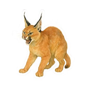 Caracal Sticker, Animal Decor for Laptops, Nature Lovers, Unique Gift Ideas, and Home Décor, Perfect for Wild Cat Enthusiasts, Big Cat Decal