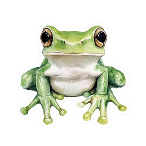 Tree Frog Sticker, Cute Amphibian Decor, Laptop Stickers, Nature Lover Gifts, Frog Enthusiast Accessories, Water Bottle Sticker, Car Vinyl