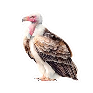 Vulture Stickers, Unique Laptop Decal, Bird Art Sticker, Nature Lover Gift, Eco-Friendly Decor, Aesthetic Stationery, Water Bottle Vinyl