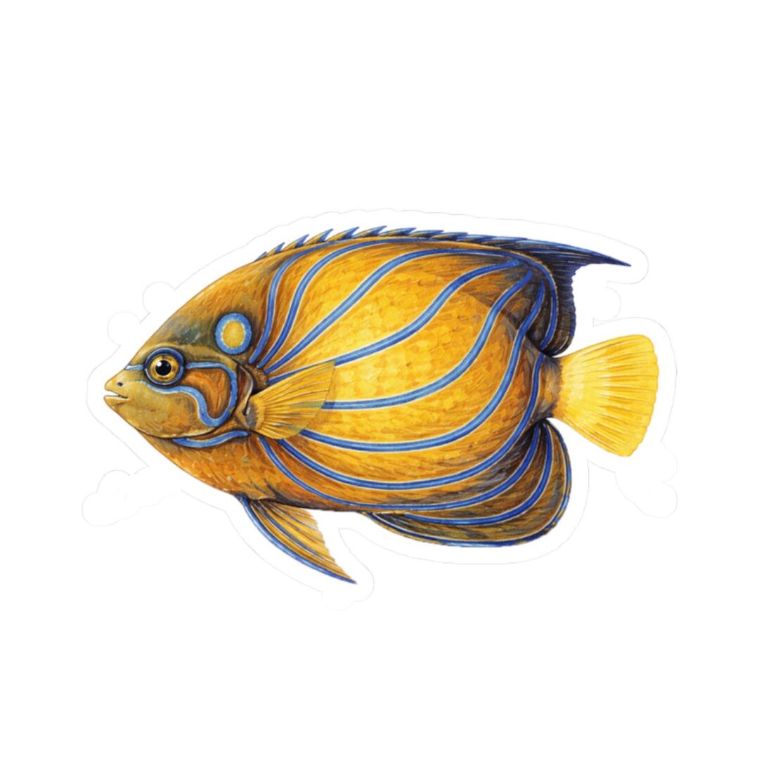 Blue-ringed Angelfish Sticker, Ocean Fish Laptop Decal, Underwater ...