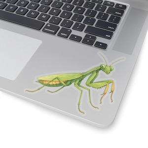 Praying Mantis Sticker, Insect Vinyl Decal, Laptop Sticker, Cute Water ...