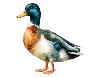 Mallard Duck Sticker, Peaceful Bird Vinyl Decal, Nature Sticker for Laptops, Journals, Water Bottles, Cute Animal Sticker, Wildlife Decor