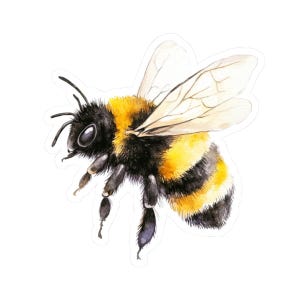 May include: A watercolor painting of a bumblebee in flight. The bee has black and yellow stripes and translucent wings. The bee is painted in a realistic style.