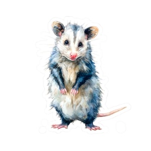 May include: Watercolor illustration of an opossum standing upright. The opossum has a white face and chest, with gray and blue fur. Its pink nose and paws are visible, and it has a long, pale pink tail. The artwork is on a white background.
