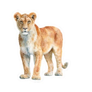 Lion Sticker, Lioness Decal,  Cute Animal Vinyl Decal for Laptops & Journals, Wild Animal Decor, Eco-Friendly Gift for Nature Lovers