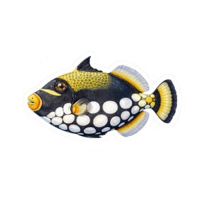 May include: A colorful sticker of a triggerfish. The fish has a black body with white spots and a yellow and black head. The fins are yellow and gray. The fish is a vibrant illustration of marine life.