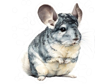 Naklejka z szynszylą, słodka naklejka z kawaii na laptopa, butelkę na wodę, dziennik, album ze zdjęciami, prezent dla miłośników zwierząt, zabawna sztuka z szynszylą