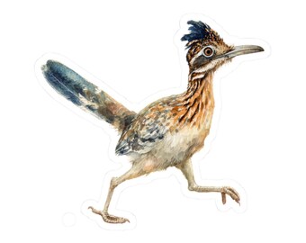 Roadrunner Sticker, Desert Bird Vinyl Decal, Southwest Wildlife Art, Waterproof Laptop, Water Bottle & Car Sticker