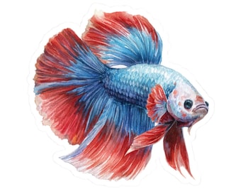 May include: Watercolor illustration of a Betta fish, also known as a Siamese fighting fish. The fish features a vibrant color palette of red, blue, and white. The fins are large and flowing, with detailed brushstrokes. The fish is isolated on a white background.