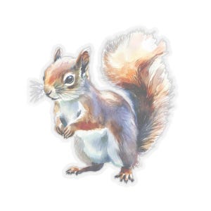 Squirrel Sticker, Animal Watercolor Vinyl, Laptop Decal, Cute Waterbottle Sticker, Car Sticker, Nature Sticker, Squirrel Gift