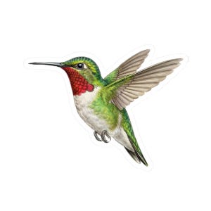 May include: A sticker featuring a detailed illustration of a hummingbird in flight. The bird has green, red, and white plumage with outstretched wings. The hummingbird's long beak is pointed forward, and its wings are partially spread.