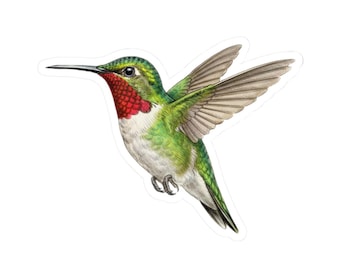 Ruby-Throated Hummingbird Sticker, Kiss-Cut Vinyl Stickers, Hummingbird Decal