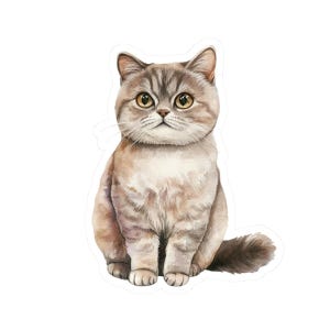British Shorthair Cat Sticker, Laptop Accessories, Gifts for Cat Lovers, Pet Lover Stickers, Car Sticker, Kitty Decal, Water Bottle Vinyl